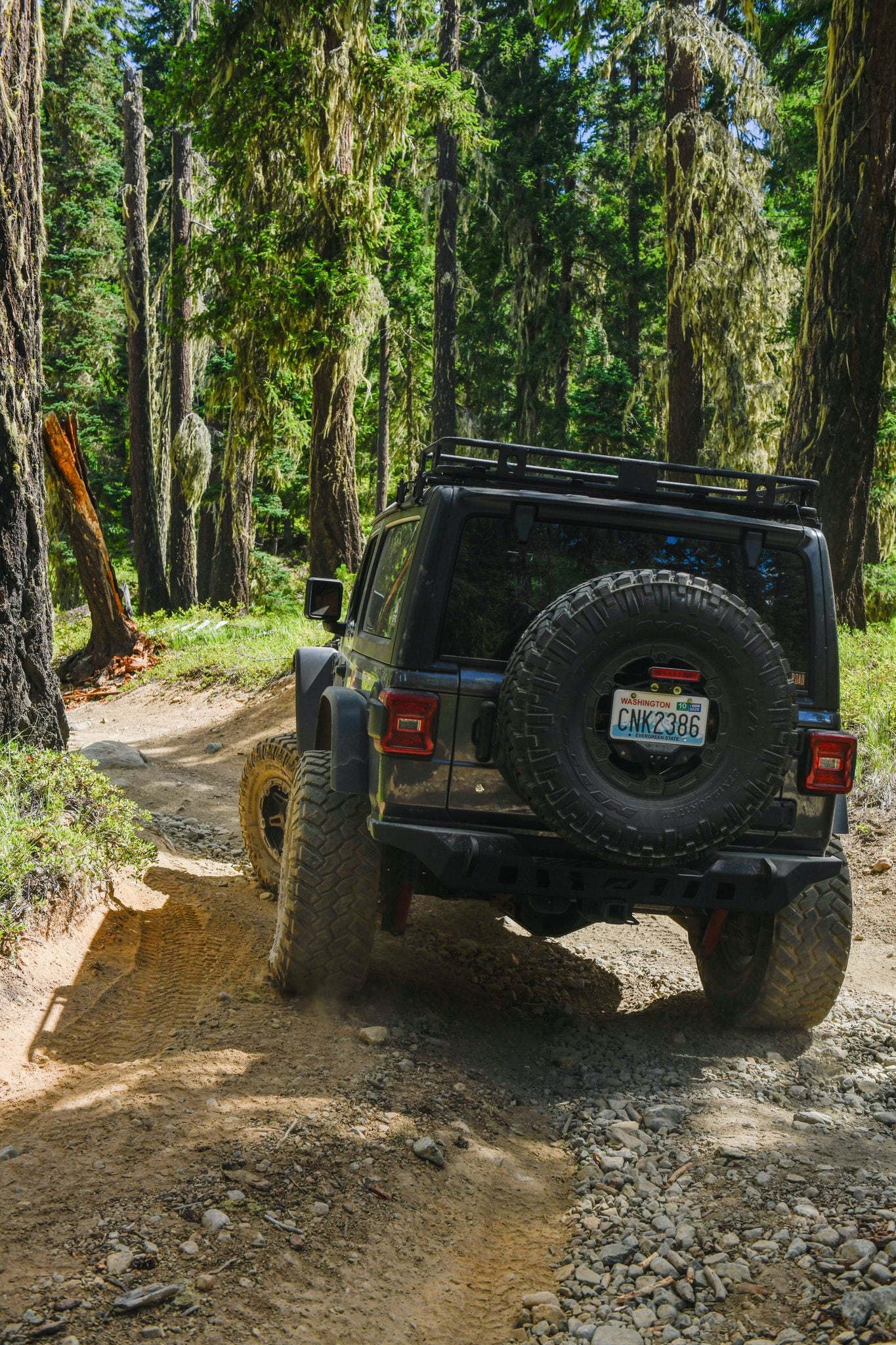 A Jeep Wrangler working up a rutted section of Fortune Creek trail through the timber